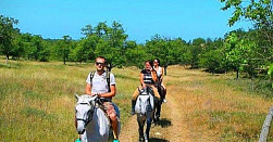 Конная прогулка