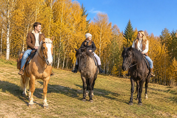 Конная прогулка в Махачкале. Подарочные сертификаты Ultra Подарки. Купить оригинальный подарок или подарочный сертификат на Конная прогулка в Махачкале. Сервис UltraPodarki.ru 8-800-505-9530. Катание на лошадях, Прогулка на лошади, Прогулка на лошадях для двоих, Конная прогулка, конный клуб, Конный клуб, конная прогулка, конная прогулка в Махачкале