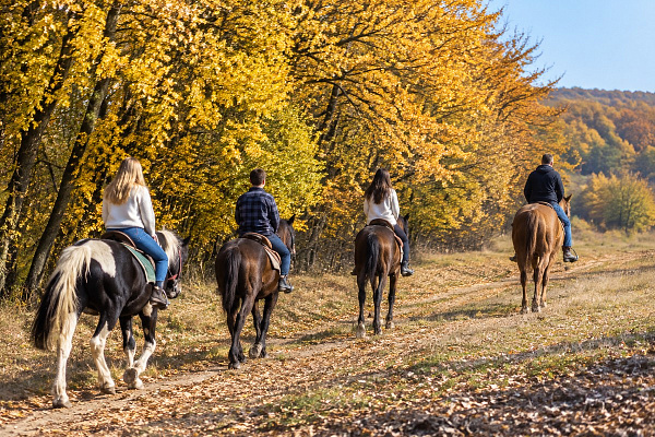 Конная прогулка в Махачкале. Подарочные сертификаты Ultra Подарки. Купить оригинальный подарок или подарочный сертификат на Конная прогулка в Махачкале. Сервис UltraPodarki.ru 8-800-505-9530. Катание на лошадях, Прогулка на лошади, Прогулка на лошадях для двоих, Конная прогулка, конный клуб, Конный клуб, конная прогулка, конная прогулка в Махачкале